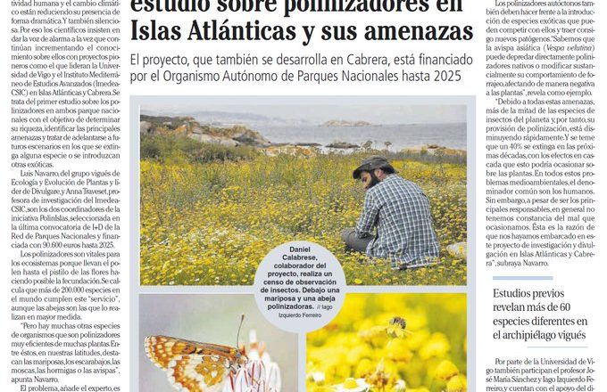 Comenzamos con el estudio de las redes de polinización en los Parques Nacionales de las Islas Atlánticas y Cabrera